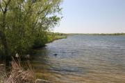 Pleasant Creek Lake Linn County Iowa, Great Fishing, Catfish, Eyes,  Muskies, Camping, 